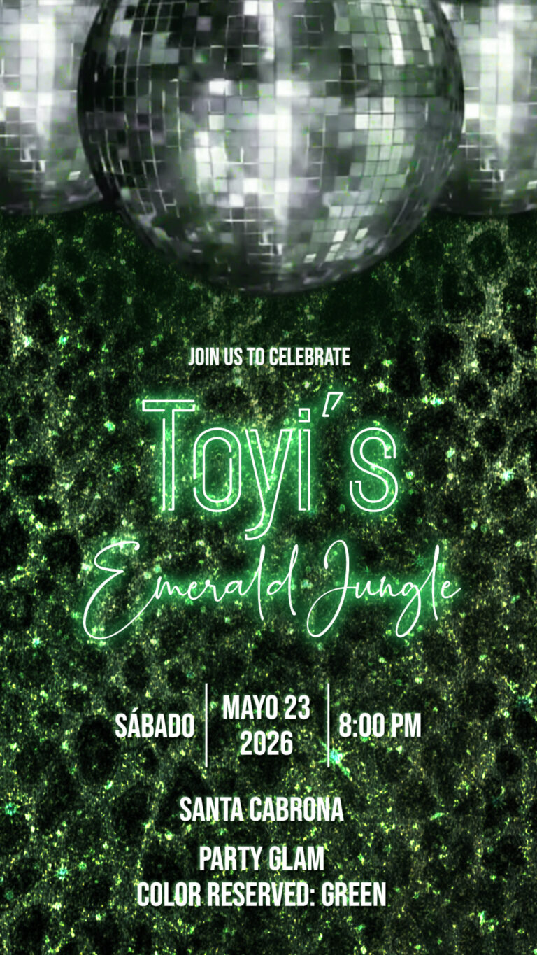 Toyi´s 15